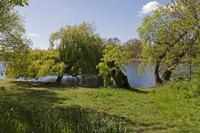 Cjp_2015_04_28_104002.jpg