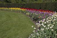 Cjp_2015_04_28_115210.jpg