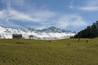 Cjp_2015_09_25_103214.jpg