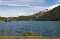 Cjp_2015_09_25_124750.jpg