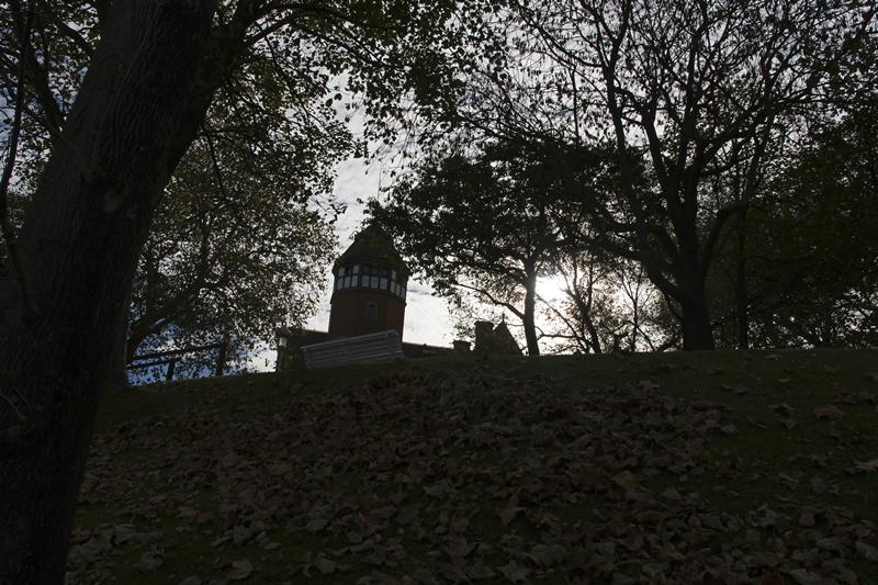 Cjp_2015_11_05_092022.jpg