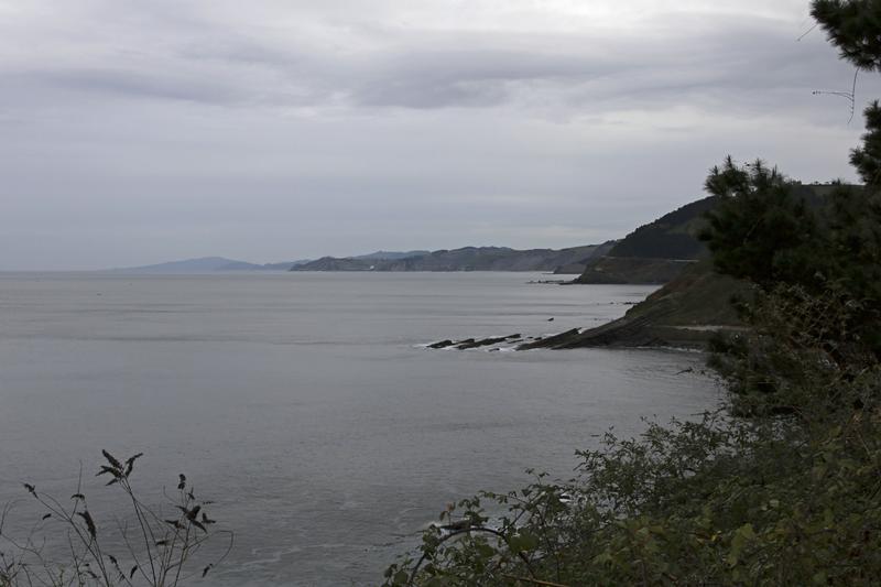 Cjp_2015_11_05_143752.jpg