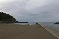 Cjp_2015_11_05_142326.jpg