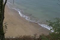 Cjp_2015_11_05_150442.jpg