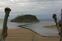 Cjp_2015_11_05_160118.jpg