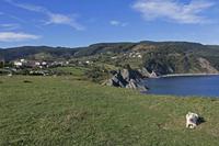 Cjp_2015_11_06_094310.jpg