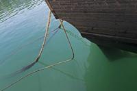 Cjp_2015_11_06_115904.jpg