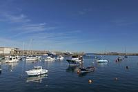 Cjp_2015_11_06_123958.jpg