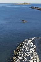 Cjp_2015_11_06_131924.jpg
