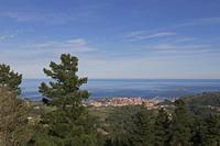 Cjp_2015_11_06_134754.jpg