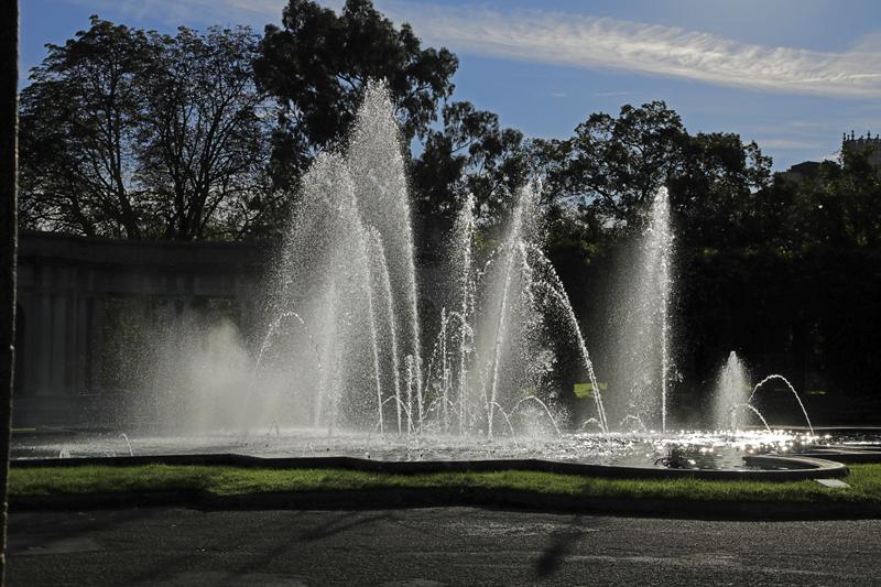 Cjp_2015_11_07_084854.jpg