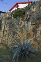 Cjp_2015_11_06_154256.jpg