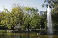 Cjp_2015_11_07_085512.jpg