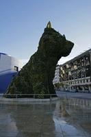 Cjp_2015_11_07_091210.jpg