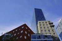Cjp_2015_11_07_094452.jpg