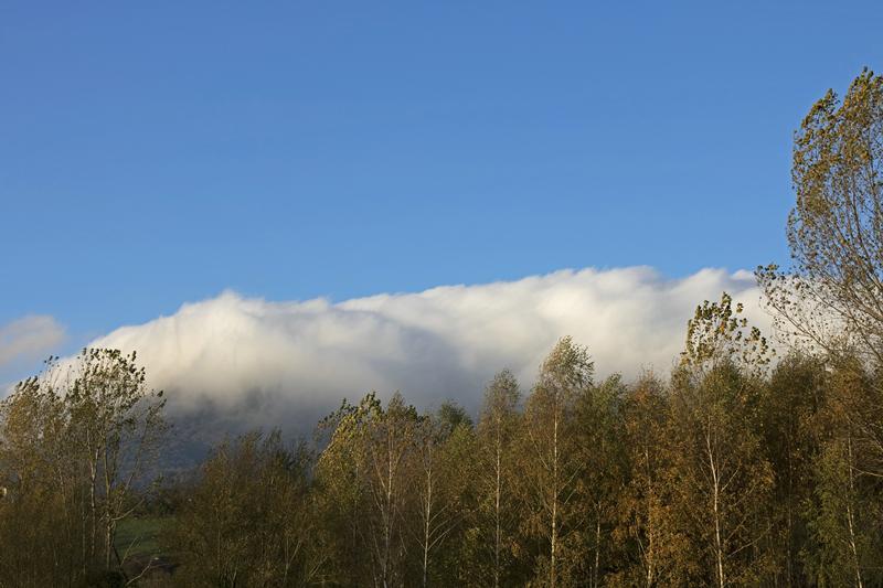 Cjp_2015_11_08_073650.jpg