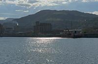 Cjp_2015_11_07_134738.jpg