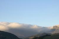Cjp_2015_11_08_073016.jpg