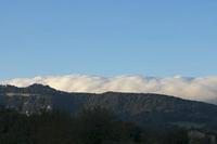 Cjp_2015_11_08_073028.jpg