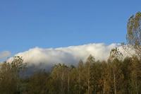 Cjp_2015_11_08_073650.jpg
