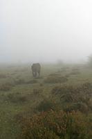 Cjp_2015_11_08_083734.jpg