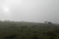 Cjp_2015_11_08_083804.jpg