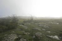 Cjp_2015_11_08_084016.jpg