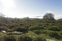Cjp_2015_11_08_084314.jpg