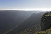 Cjp_2015_11_08_091912.jpg