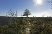 Cjp_2015_11_08_093600.jpg