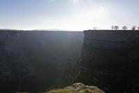 Cjp_2015_11_08_093734.jpg