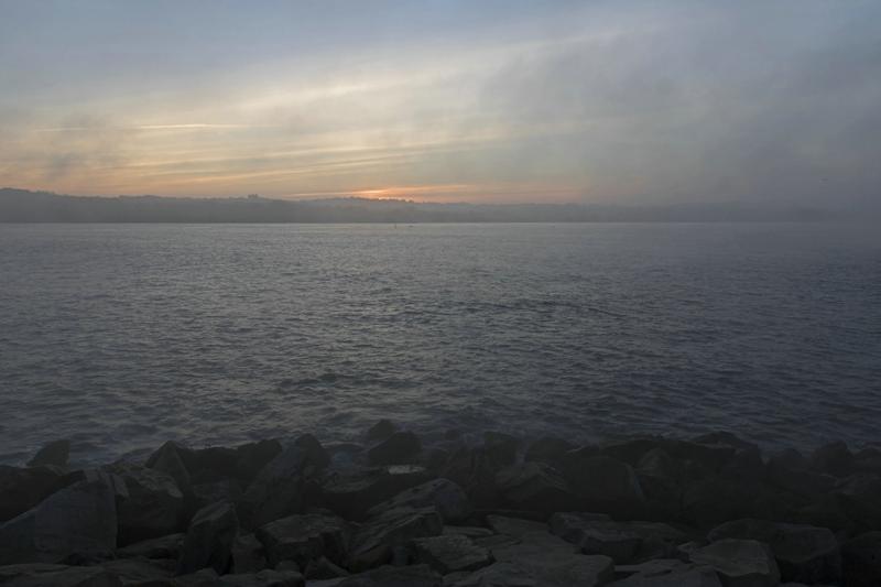 Cjp_2015_11_14_072806.jpg
