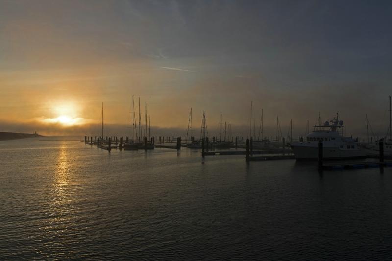 Cjp_2015_11_14_074552.jpg