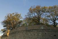 Cjp_2015_11_14_075936.jpg