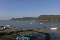 Cjp_2015_11_15_095230.jpg