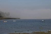 Cjp_2015_11_15_095438.jpg