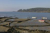 Cjp_2015_11_15_095752.jpg