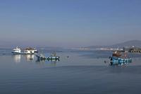 Cjp_2015_11_15_125548.jpg