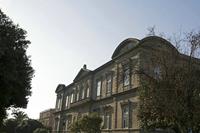 Cjp_2015_11_15_145954.jpg