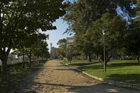 Cjp_2015_11_15_150414.jpg