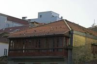Cjp_2015_11_15_152124.jpg