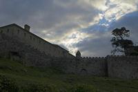 Cjp_2015_11_16_081720.jpg