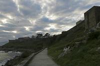 Cjp_2015_11_16_082506.jpg