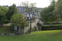 Cjp_2015_11_16_133746.jpg