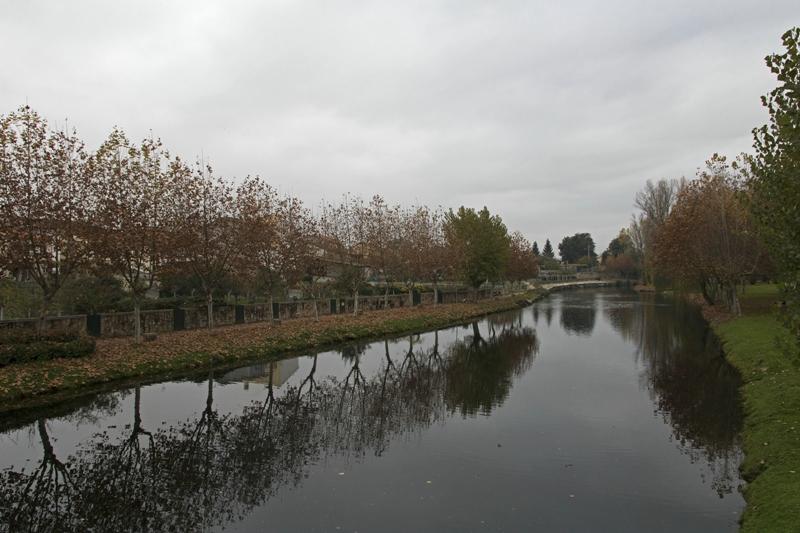 Cjp_2015_11_17_080230.jpg