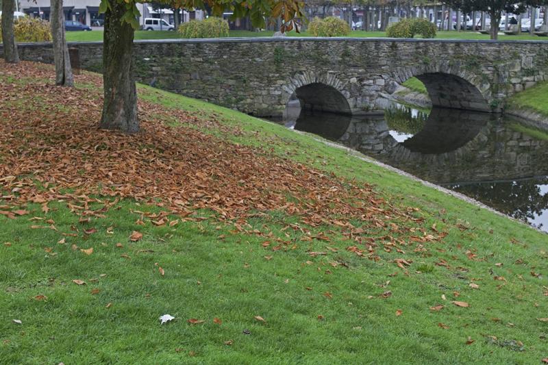 Cjp_2015_11_17_081454.jpg