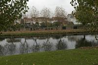 Cjp_2015_11_17_080118.jpg