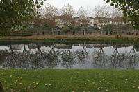 Cjp_2015_11_17_080146.jpg
