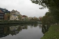 Cjp_2015_11_17_080538.jpg