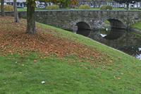 Cjp_2015_11_17_081454.jpg
